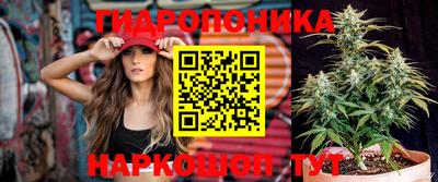 прущие крисы Донской