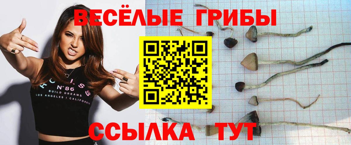 Галлюциногенные грибы мицелий Мелеуз