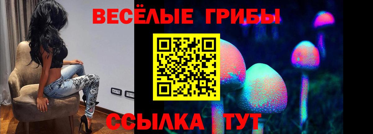Мелеуз  Галлюциногенные грибы Magic Shrooms  где продают наркотики  Вход с VPN  Галлюциногенные грибы ЛСД 